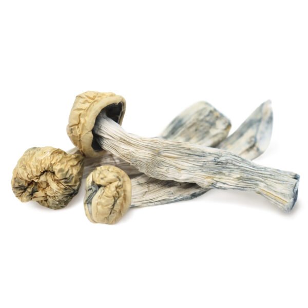 Buy Magic Mushrooms Online Canada, where to buy psilocybin mushrooms online Vancouver,where to buy psilocybin mushrooms online Surrey,buy psilocybin near me